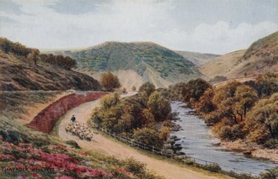 Rhayader sur la Wye - Alfred Robert Quinton